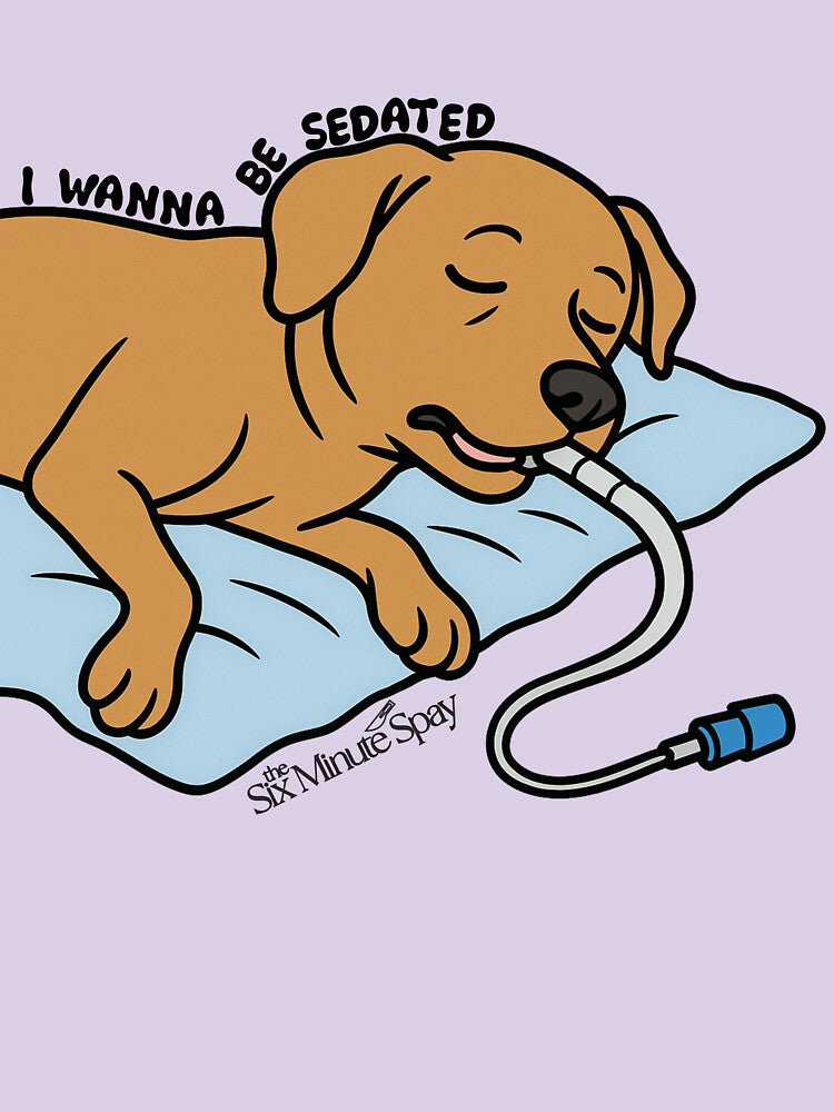 Sedated by introVETed
