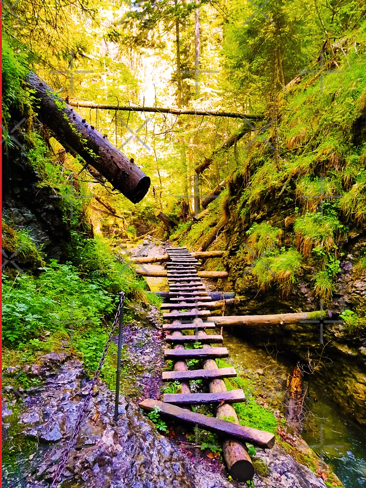 Hiking Adventure by Kate-P-