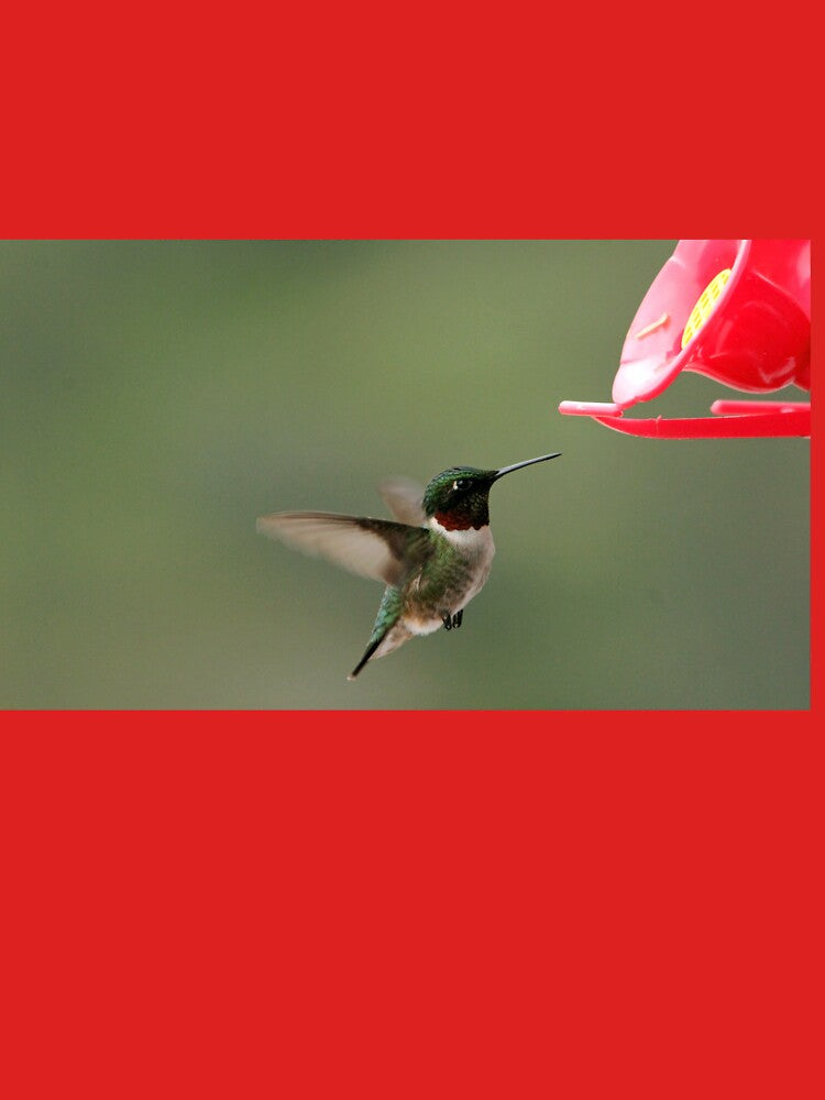 The Tiny Hummer by Debbie Oppermann Unisex