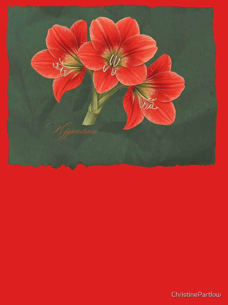 Hippeastrum | Botanical Illustration with Script on Green Textured Background by ChristinePartlow
