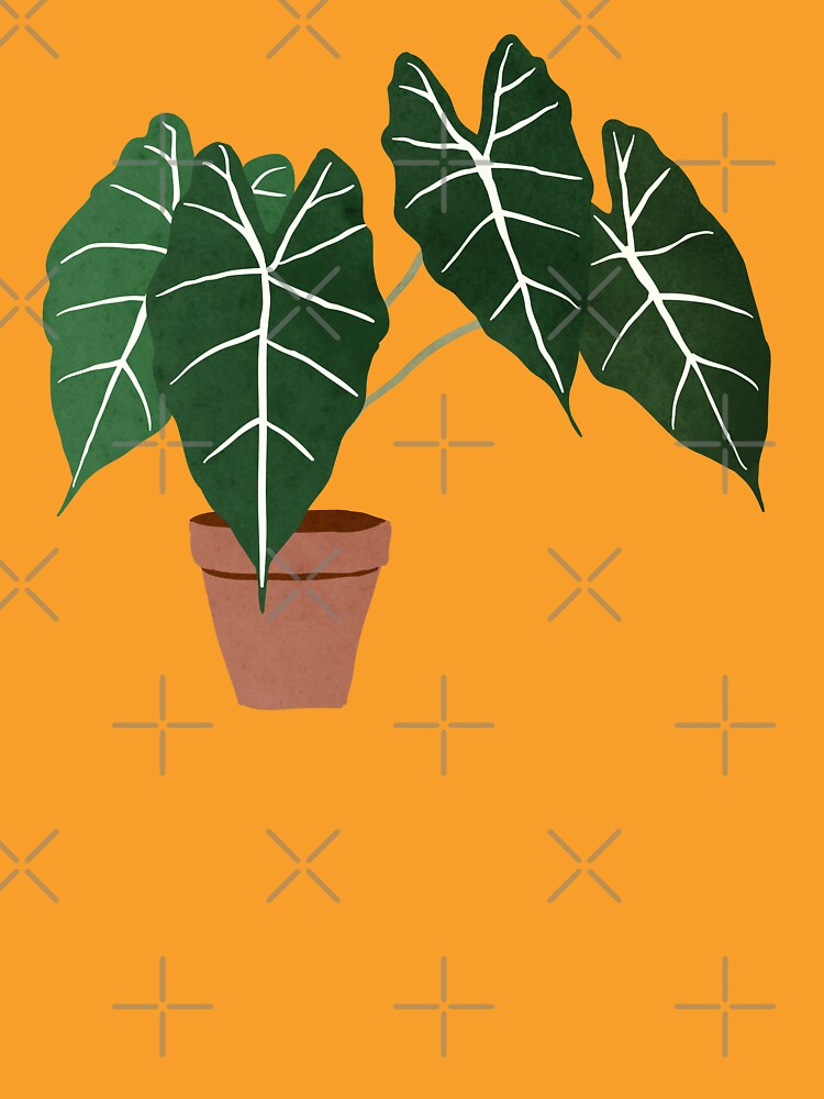 alocasia amazonica interior plant by alienrabbit