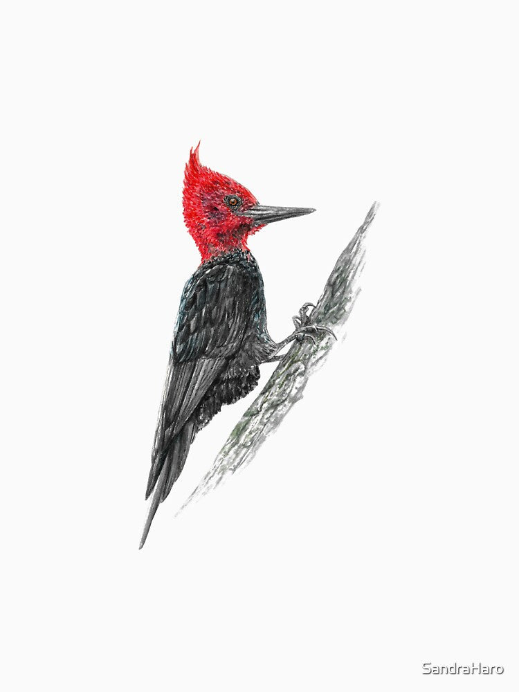 Male Black Woodpecker (Campephilus magellanicus) by SandraHaro Unisex