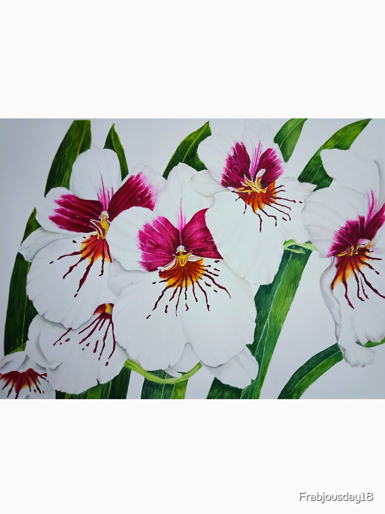 Orchids watercolor by Frabjousday18