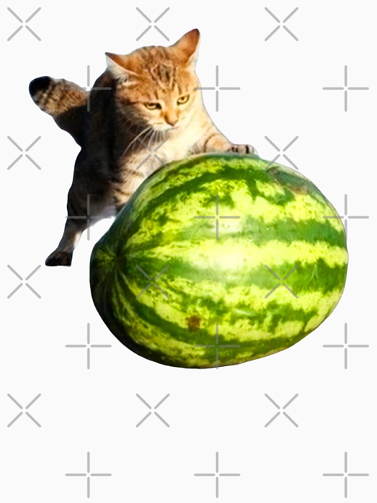 Watermelon Cat Meme ( from Cat Eating Watermelon) by fomodesigns