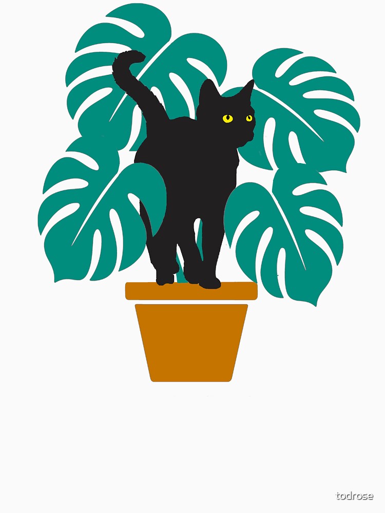 Monstera Black Cat by todrose