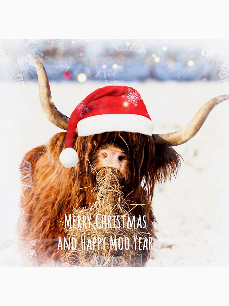 Festive Coo by Roz Goodman