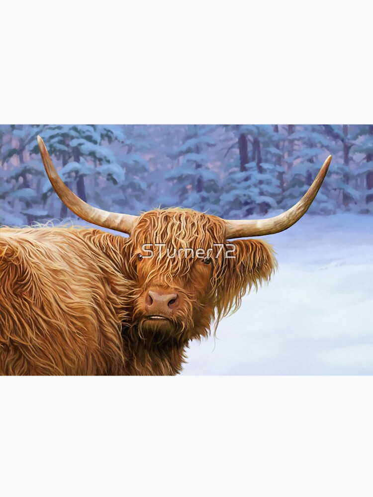 Wilma the Highland Cow by STurner72