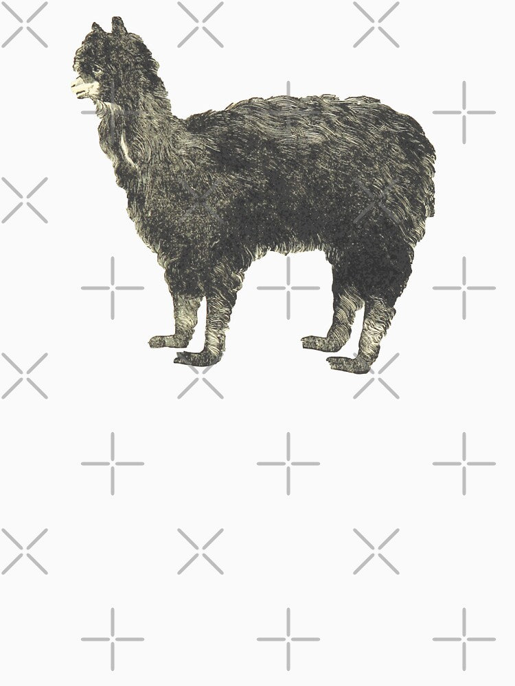 Vintage Alpaca Illustration by bookishneighbor