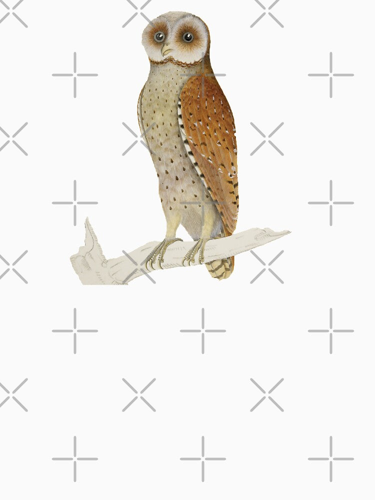 Vintage Bay Owl Illustration by bookishneighbor