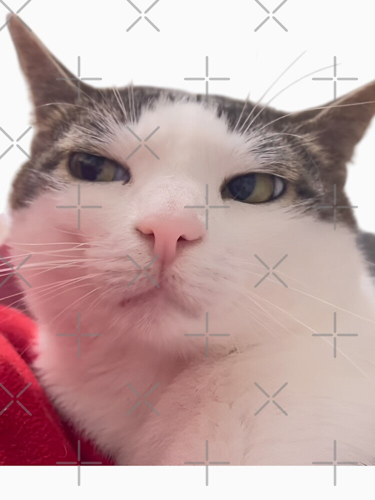 Smug Cat Face Meme | Calm Judgmental Cat Expression by Dyan4