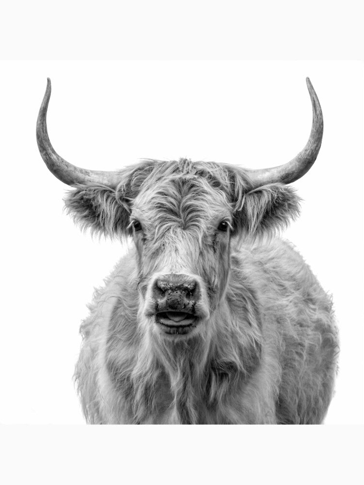 Moooooo! by Ladyshark