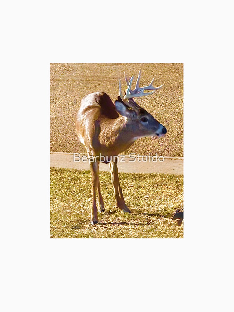 Deer by Bearbunz Stuido