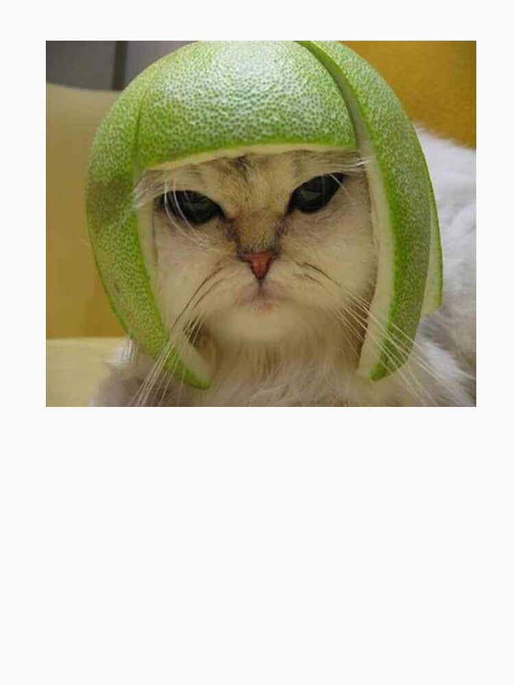 Limecat by Meme Economy