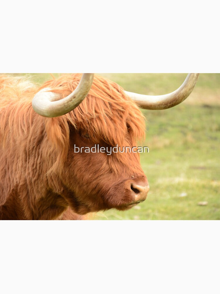 Coo by bradleyduncan