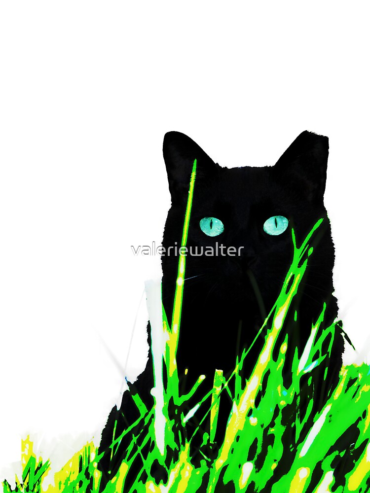 Franco by valeriewalter