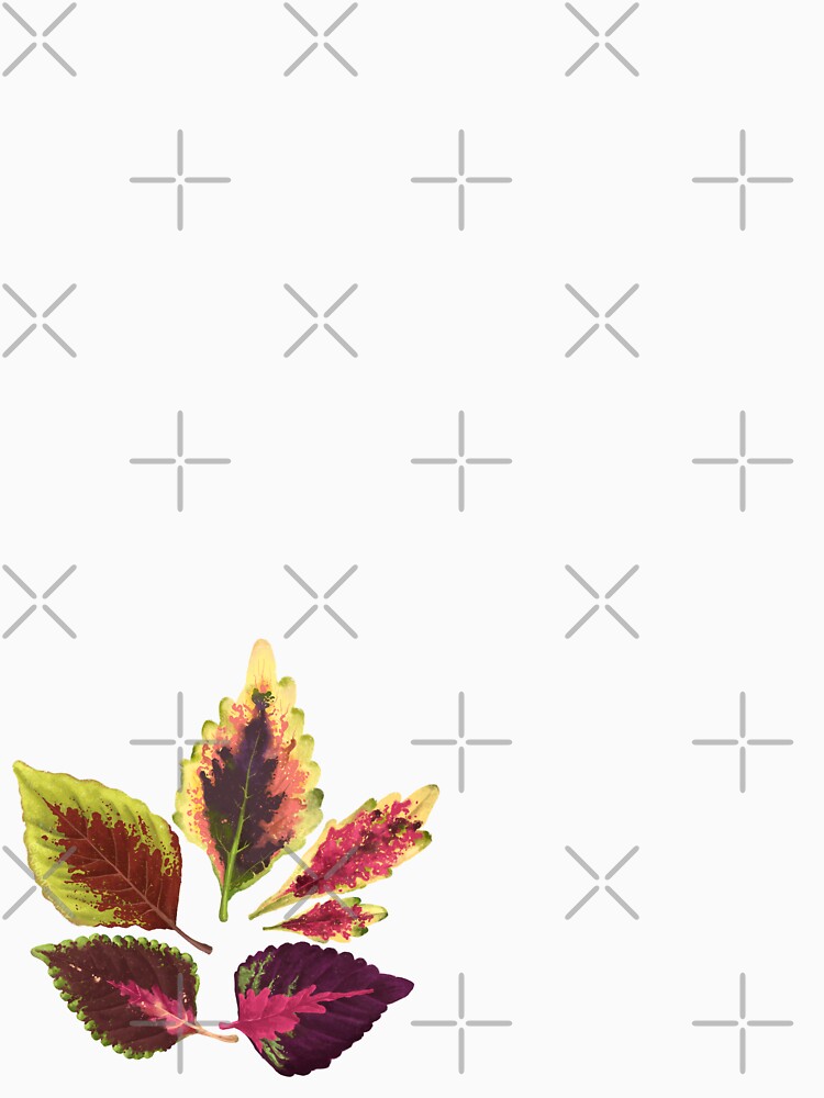 Coleus Leaves Family by Khotekmei