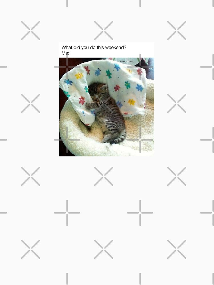 What did you do this weekend, Sleep, Rest, Cute cat with cute pillow by tauah