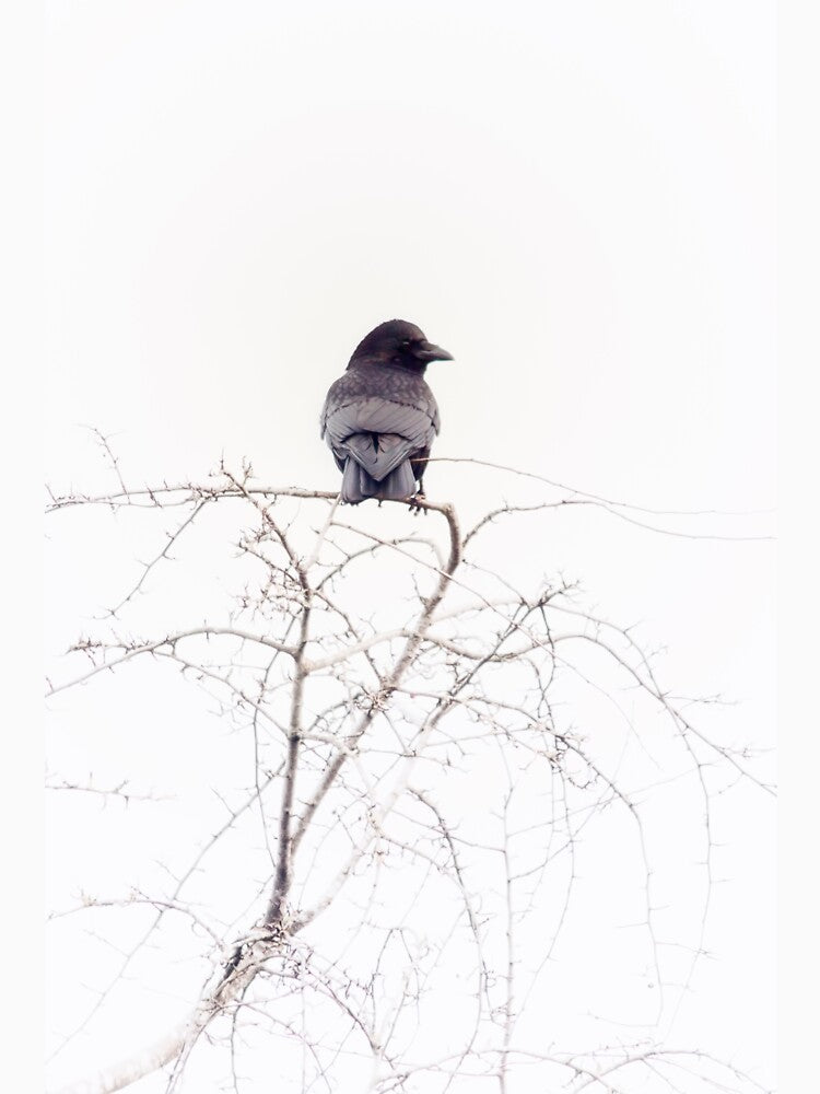 Watching by Vicki Field