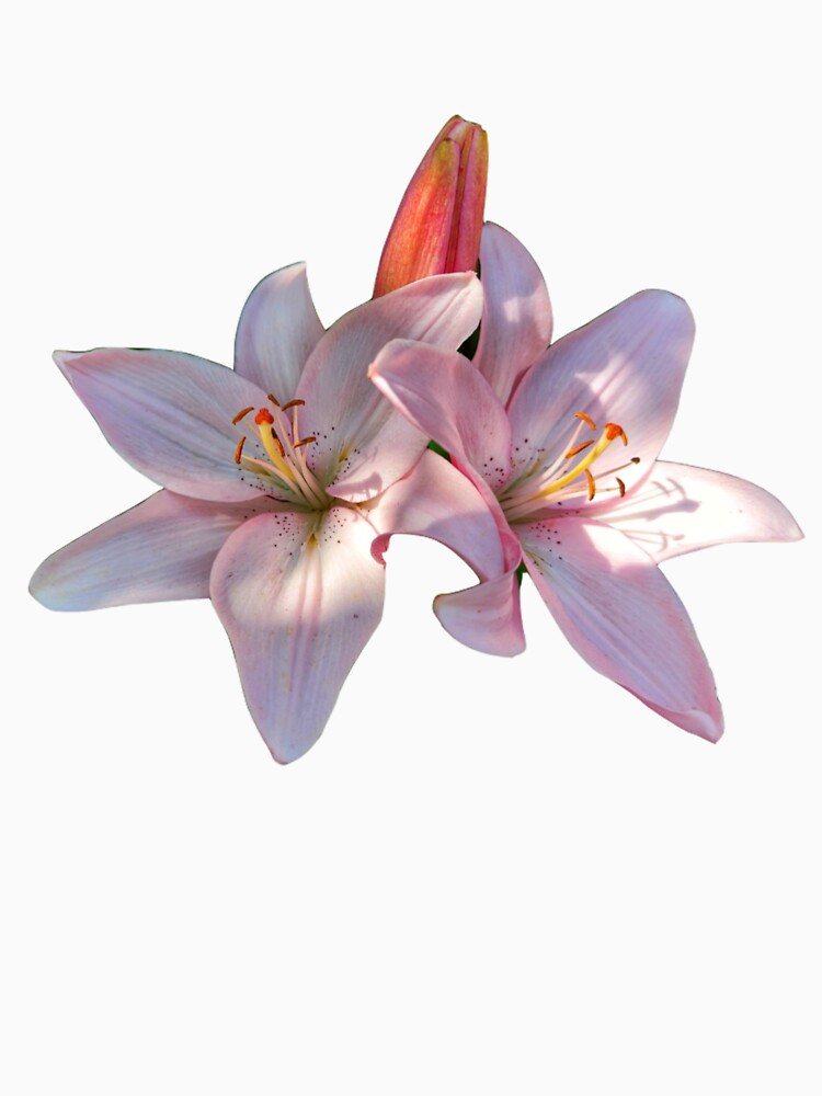 The prettiest flowers by The Digital Edit by M
