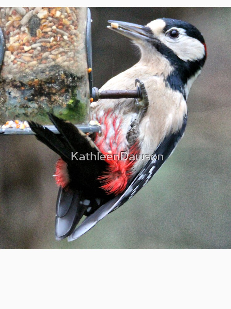 woodpecker by KathleenDawson