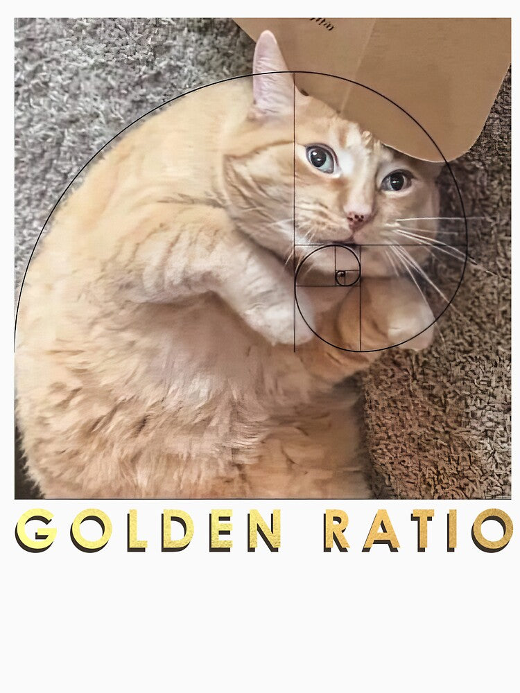 Funny Golden Ratio Cat by RebeccaLittlee