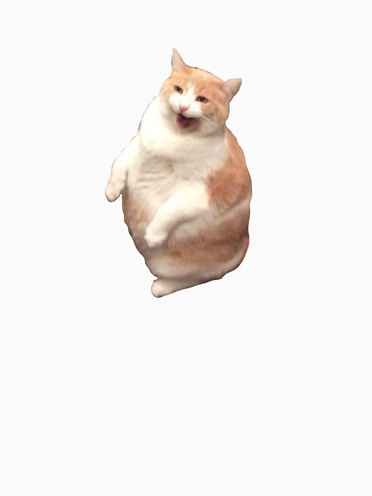 chonky cat meme sticker cutout by katief44