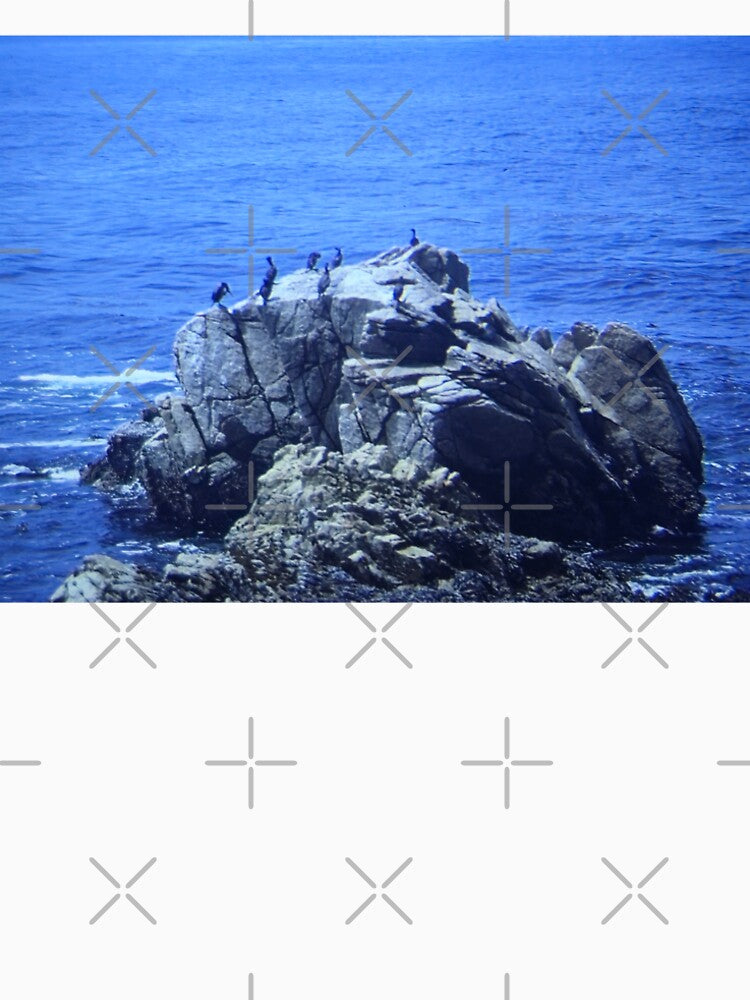 Vintage Ocean Slide - Birds Resting on Sea Rock by whimsiqueer
