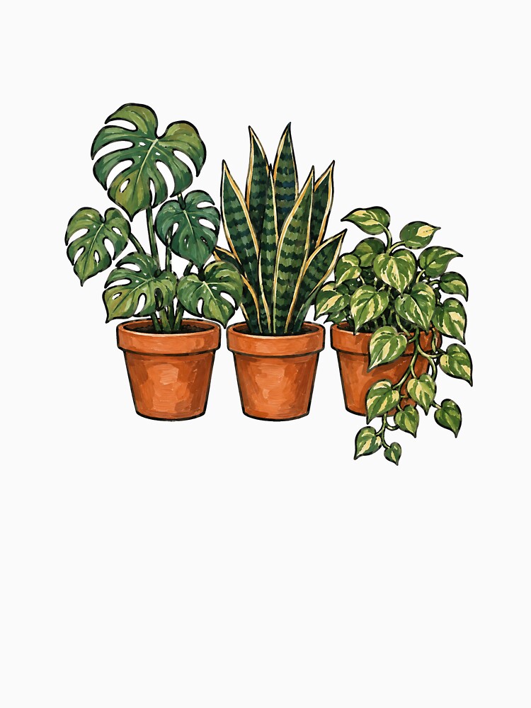 Cozy Houseplant Trio Monstera Snake Plant Pothos by eignvalue