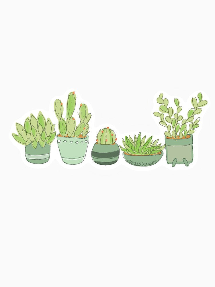 Sage Succulents & Cacti by HoneyLeeStudios