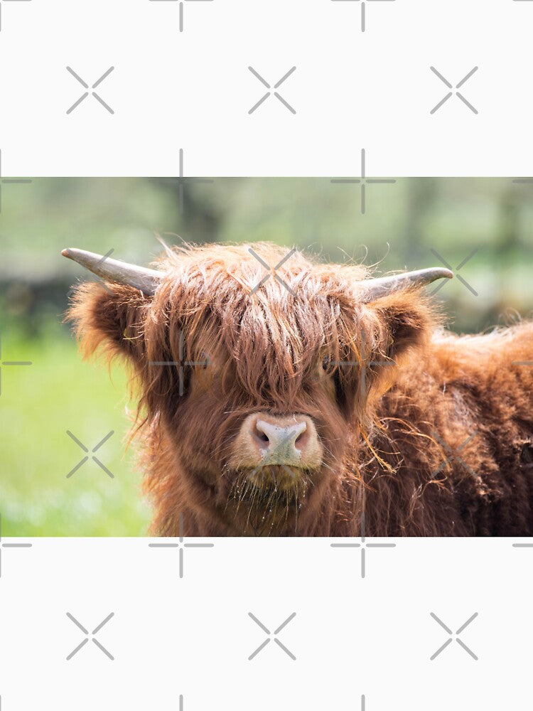 Baby Highland Cow by angieblue-25