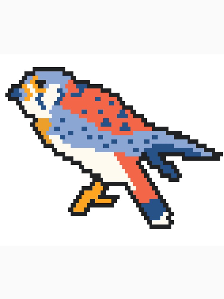Kestrel Bird by DeeL2