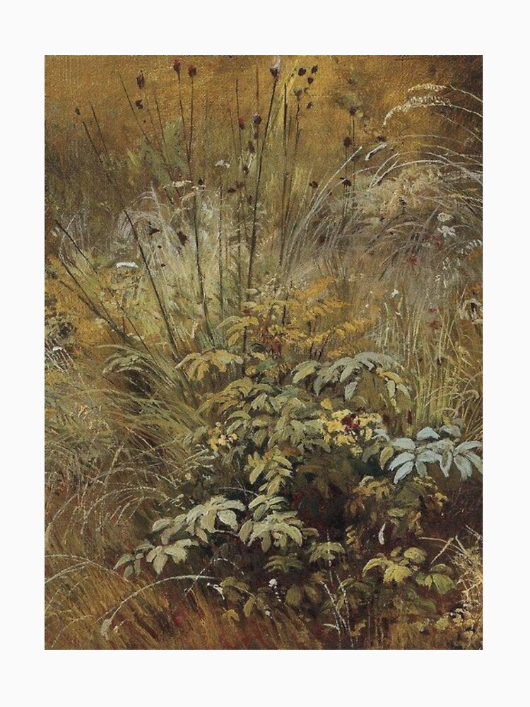 Grass by Gnouhp