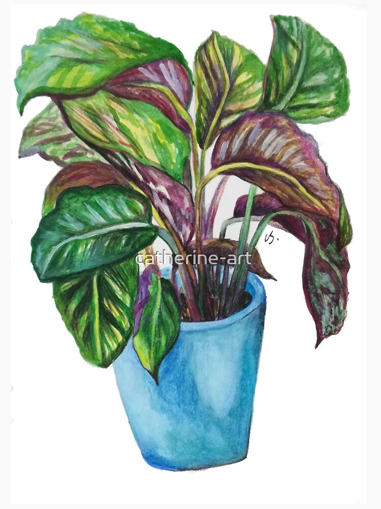 Calathea House Plant by catherine-art