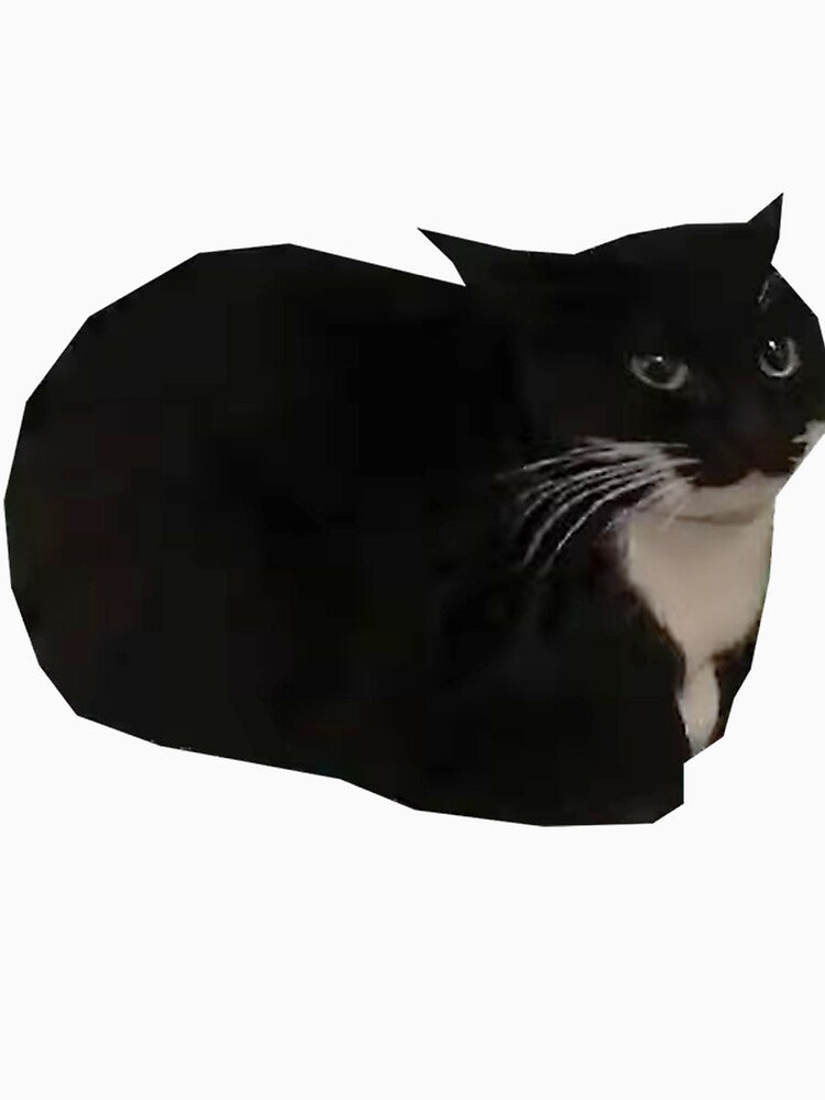 Maxwell The Cat Meme Funny 2023 by CharlesANelson