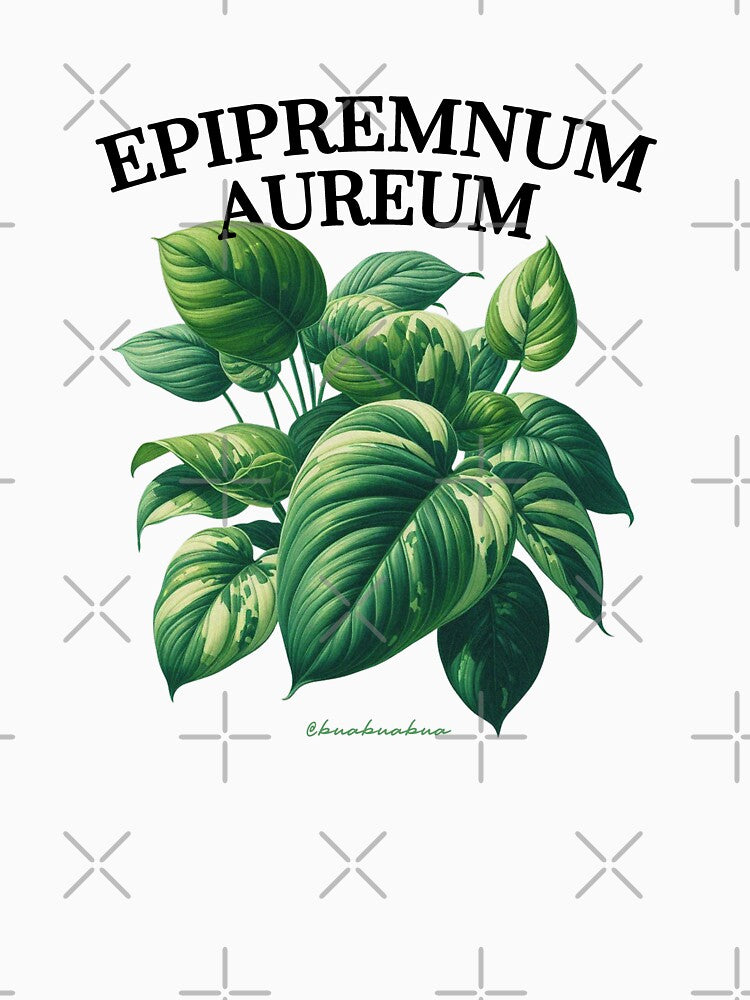 Botanical Epipremnum aureum by BUABUABUA