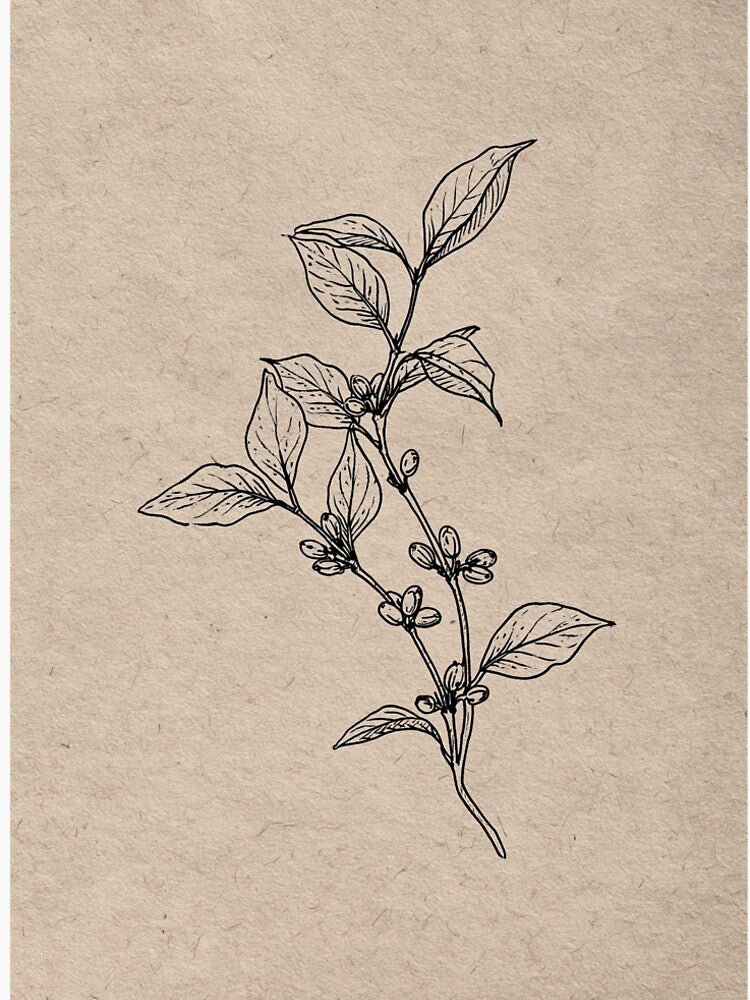 Minimalist Botanical Branch Line Drawing by Visual Foundry