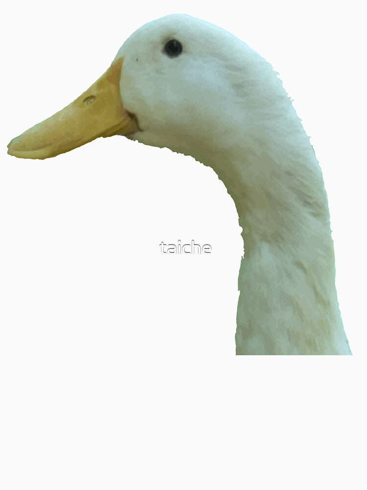 Neck Up Side Profile Of A Disgruntled Looking Duck by taiche