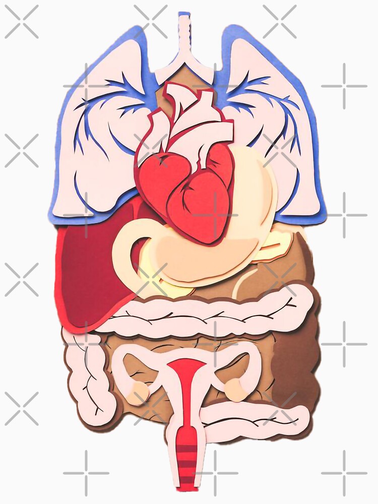 female internal organs  poster | female internal organs t-shirt | educational poster by KARTICK DUTTA