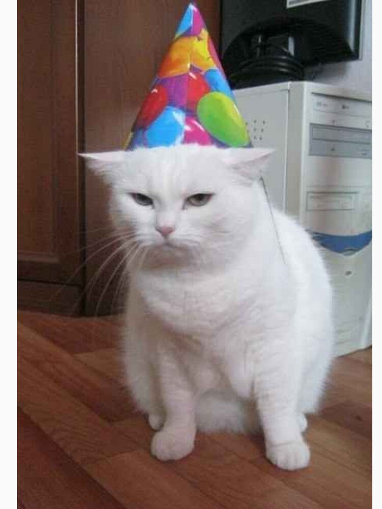 Funny birthday cat meme by ArtyMaster