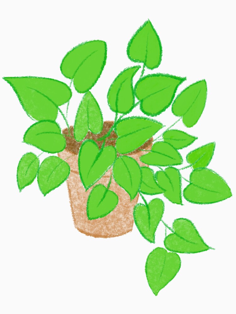 Pothos by Phoebew03