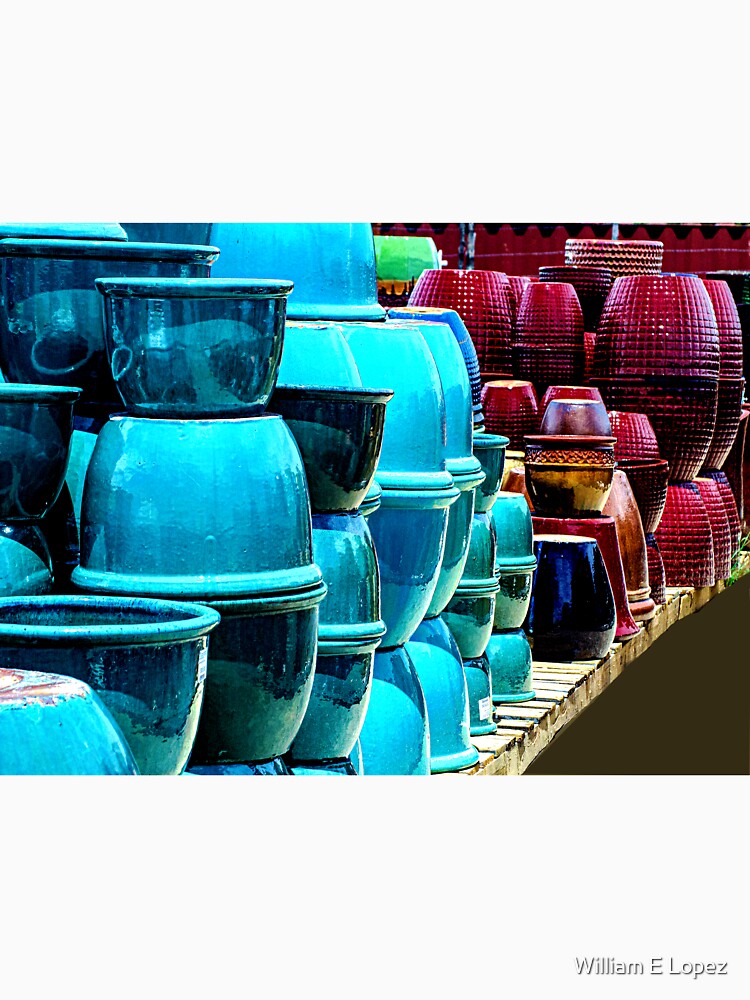 Rows and Rows of Southwestern Pottery by William E Lopez