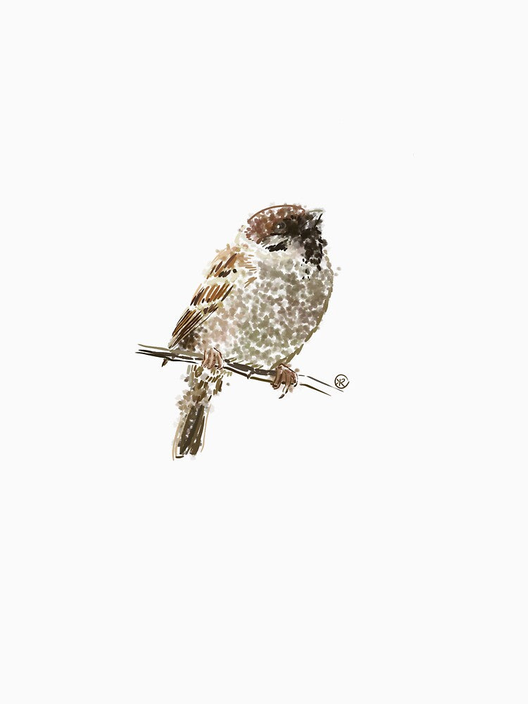 Sparrow by TruemmerLiebe