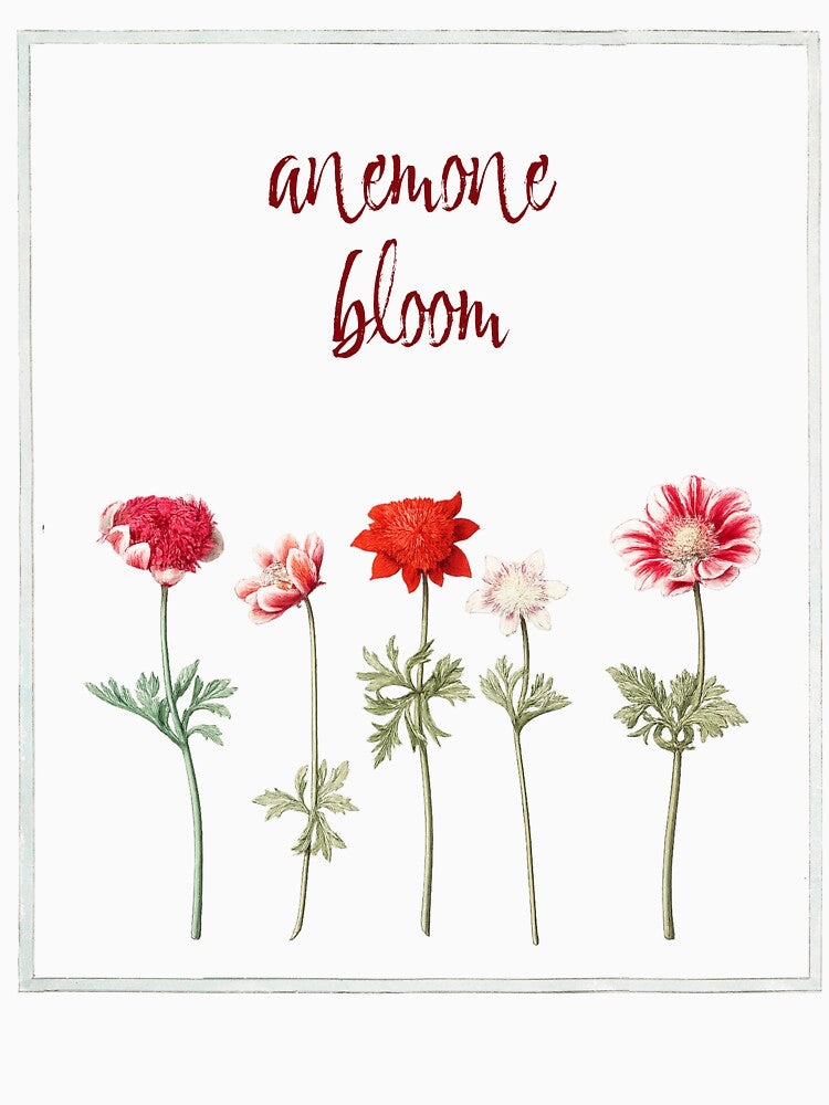 Anemone Bloom Vintage Botanical Flower Print by AggyCreatif