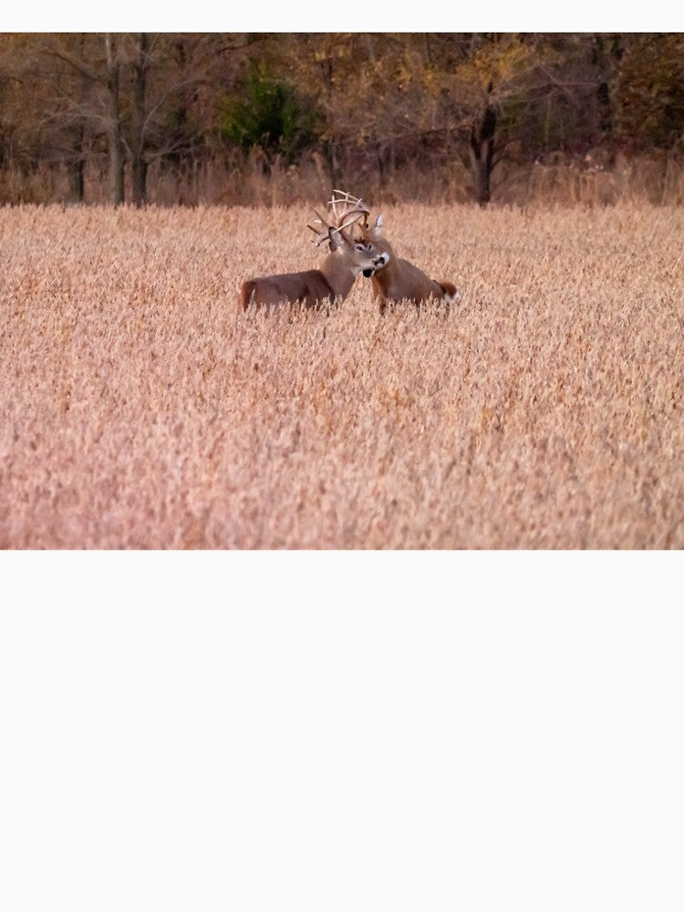 Two Bucks in a Tangled Rut by South 500 Photography