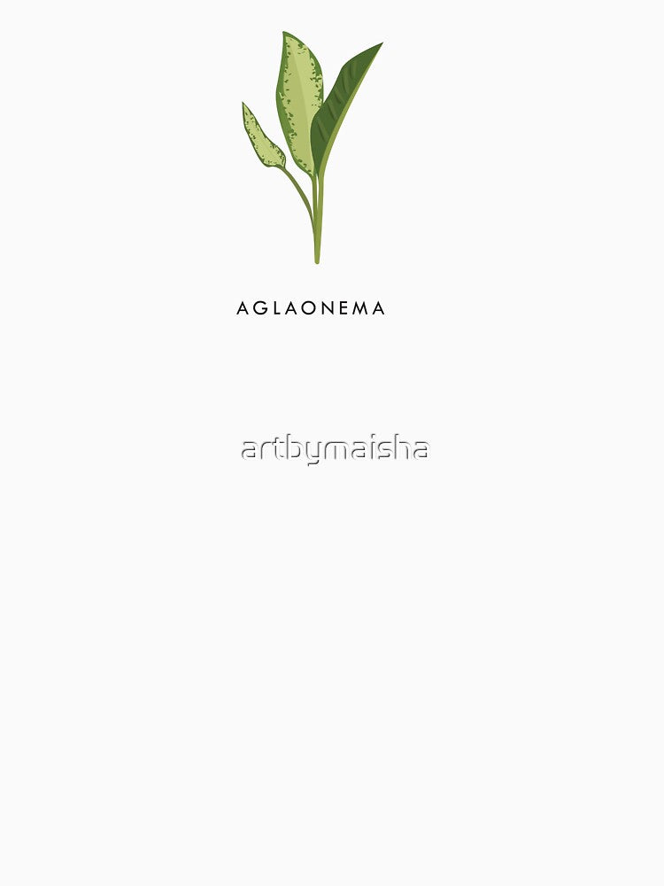 Aglaonema Plant by By Maisha