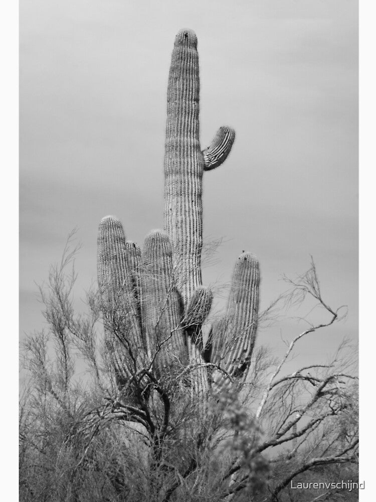 Saguaro Cactus by Laurenvschijnd