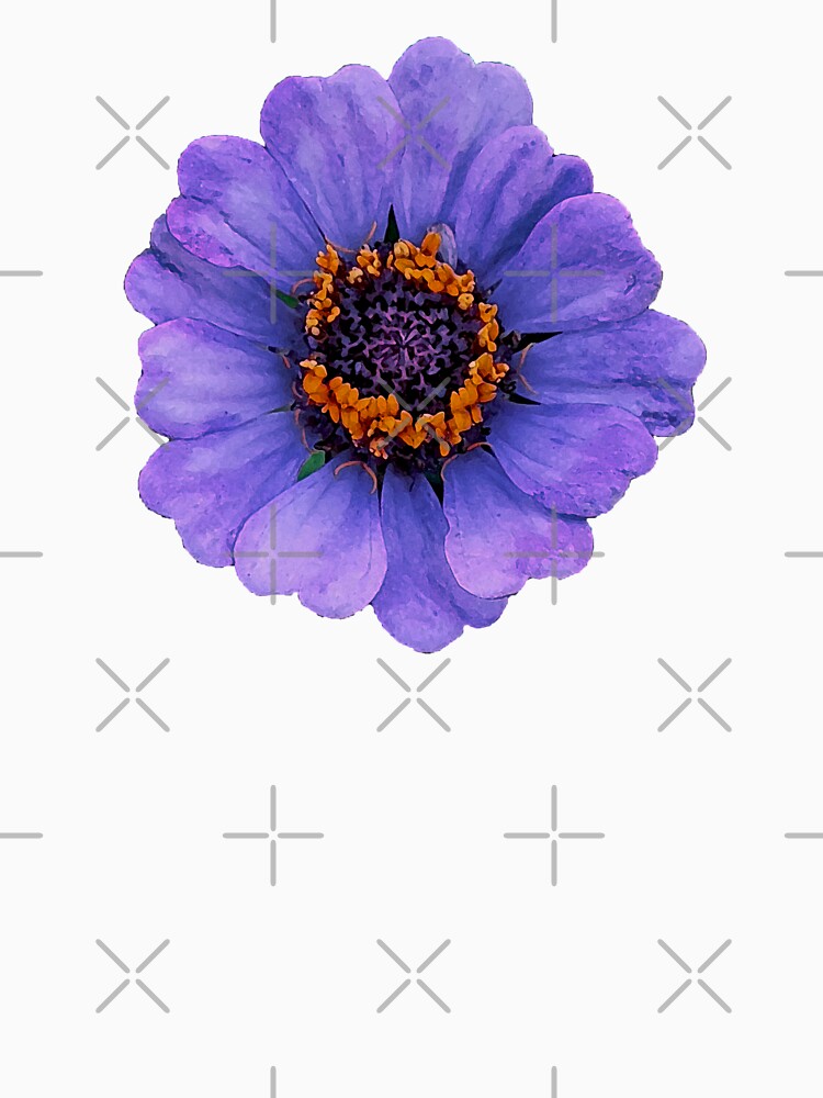 Zinnia Elegans Purple Flower Common Zinia by monica-mirt