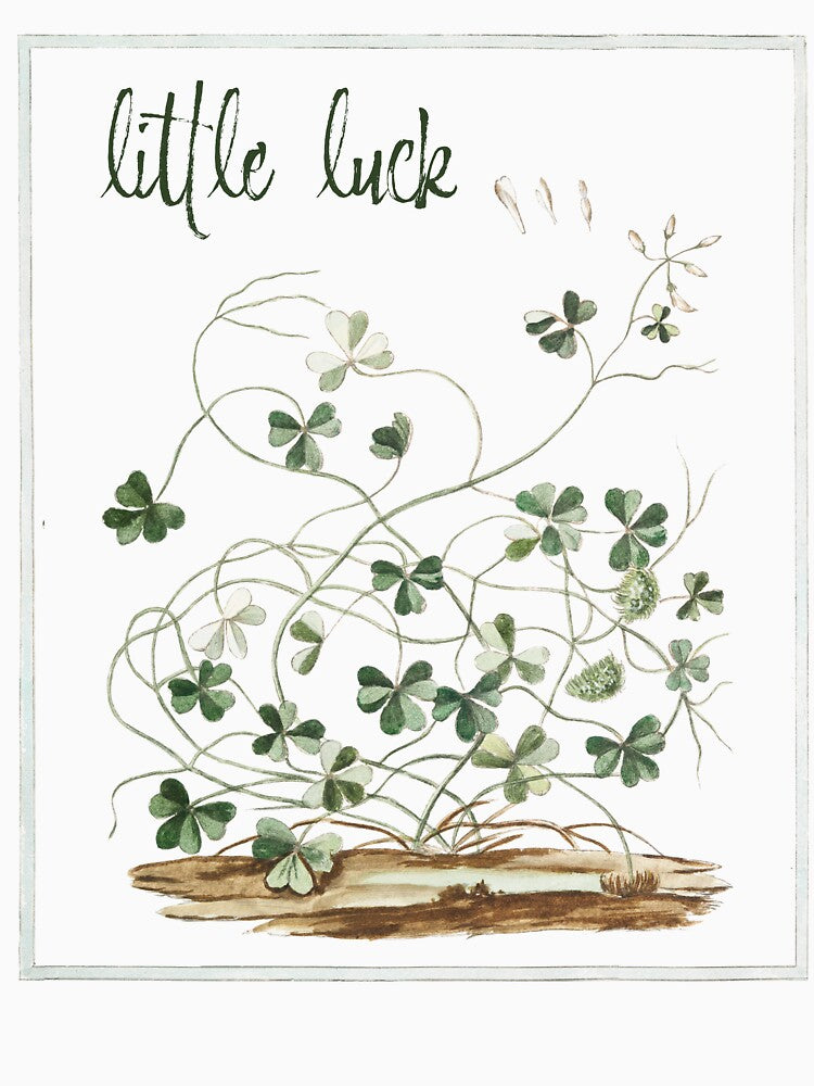 Little Luck Clover Vintage Botanical Illustration by AggyCreatif