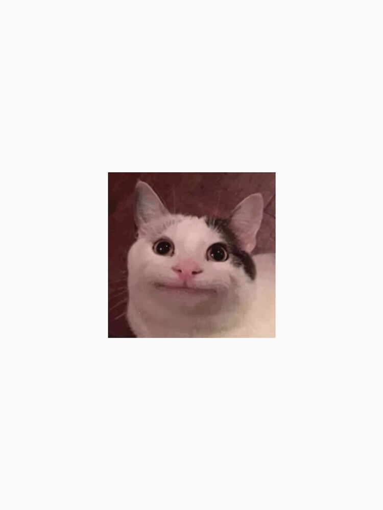 smiling cat meme by RaisedByKittens