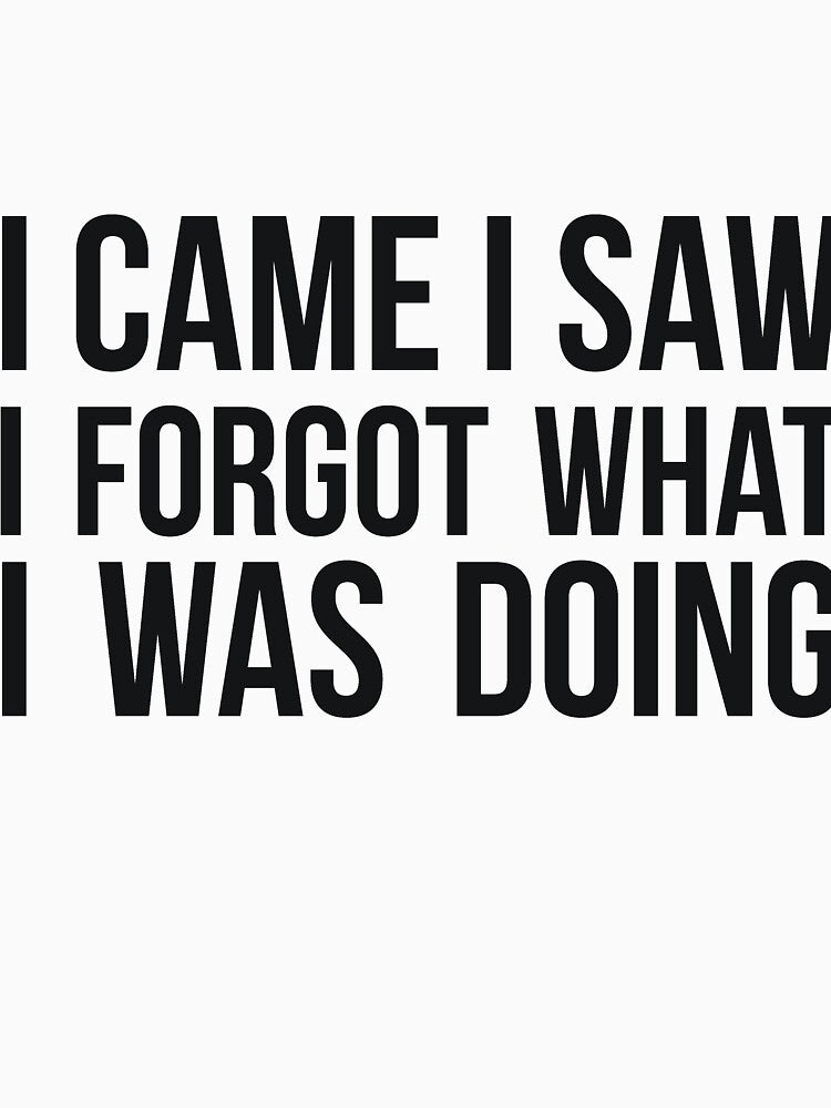 I Came I Saw I Forgot What I was Doing humor joke quote by  Srdjan Stanisic